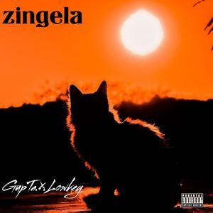 Zingela (feat. LowKey) (Explicit)