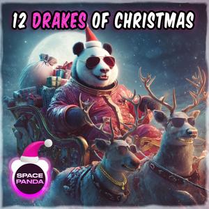 12 Drakes of Christmas