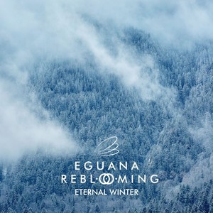 Eternal Winter