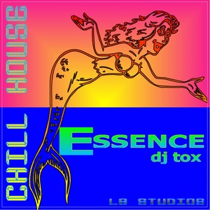 Chill House: Essence