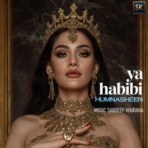 Ya Habibi Humnasheen