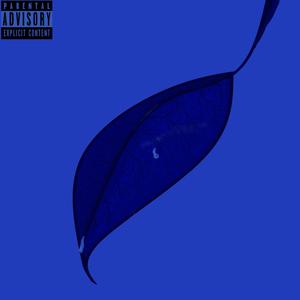 This Time(feat. $lendo) (Explicit)