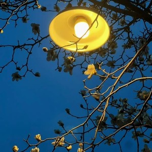 心愿便利贴-古拉