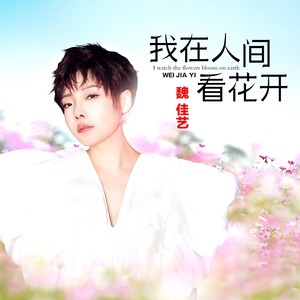 我在人间看花开
