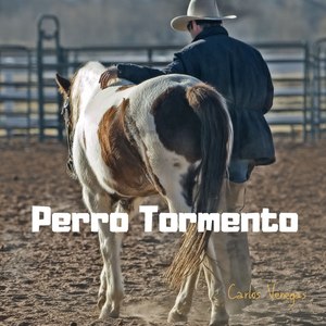 Perro Tormento