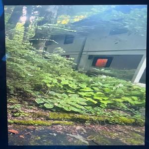 the ego is the façade (Explicit)