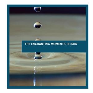 The Enchanting Moments in Rain