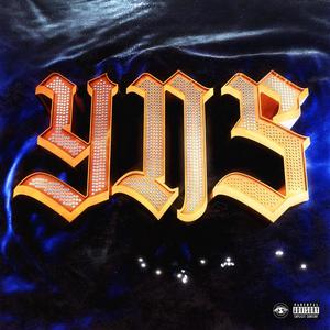 Y.N.S(feat. Young Lando)
