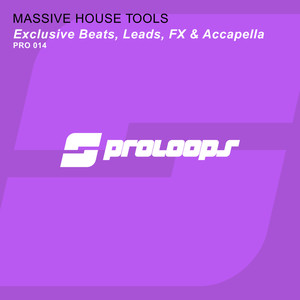 Massive House Tools