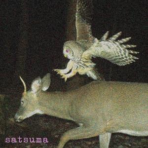 this is my outside voice (Explicit)