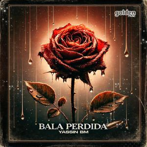 Bala Perdida