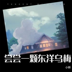 尝尝一颗东洋乌梅