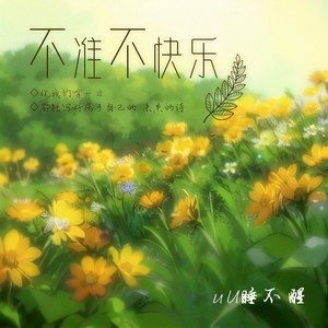 不准不快乐 (伴奏)