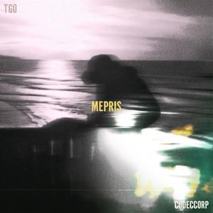 MEPRIS (Explicit)