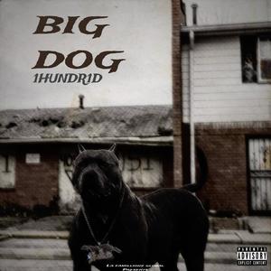 BIG DOG (Explicit)