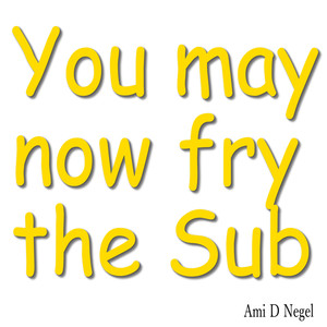 You May Now Fry the Sub