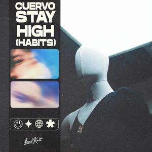Stay High (Habits)