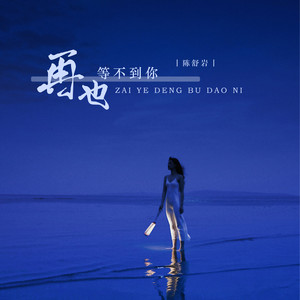 再也等不到你 (DJ阿卓版)封面