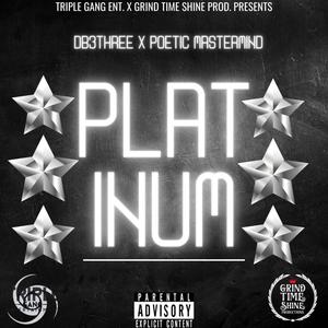 PLATiNUM (feat. Poetic Mastermind) (Explicit)