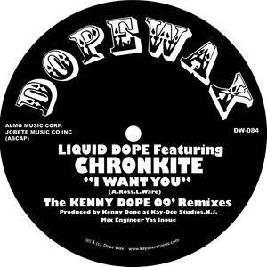 I Want You (Kenny D**e '09 Rerub)