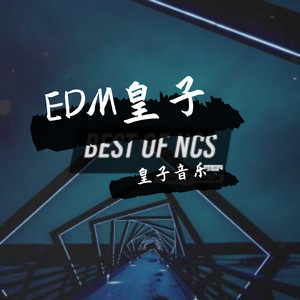 EDM皇子