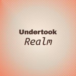 Undertook Realm