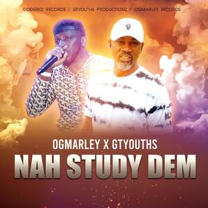 Nah Study Dem (feat. OGMarley)