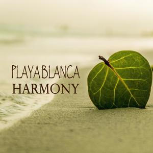 Playa Blanca Harmony