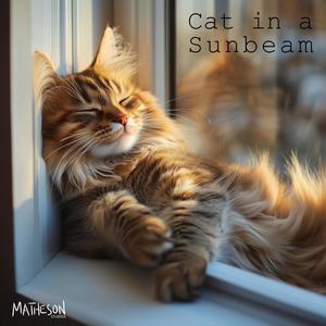 Cat in a Sunbeam (Explicit)