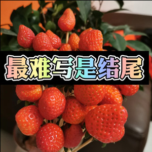 醉过多少回 (动听DJ版)