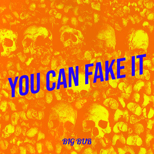 You Can Fake It (Explicit)
