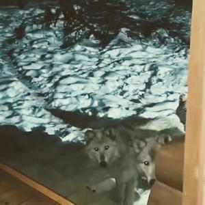 LOVE EVERYONE (Explicit)