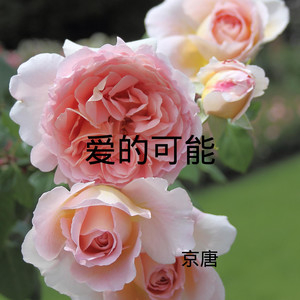 爱情废材 (DJ版)