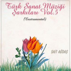 Türk Sanat Müziği Şarkıları, Vol. 5 (Instrumental)