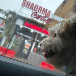 No Clout (feat. Weeza) (Explicit)