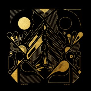 Oro & Aves Rapaces (Remixes)