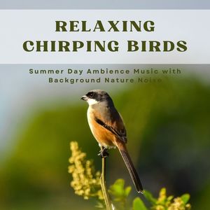 Relaxing Chirping Birds: Summer Day Ambience Music with Background Nature Noise