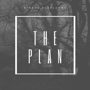 The Plan (Explicit)