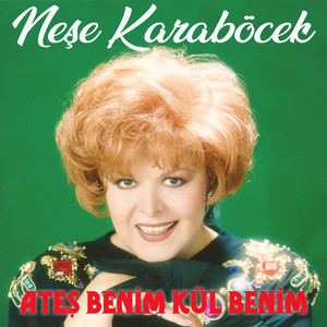 Gelmesen De Olur Artık