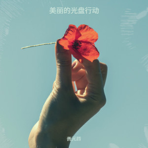 美丽的光盘行动