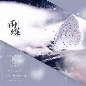 雨蝶 (Live)