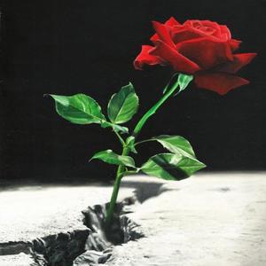 LOVEtheGemini - 25, A SOLILOQUY (Explicit)