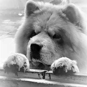 De Leon - Puro Movimiento