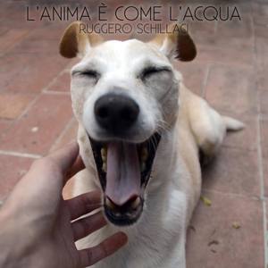 Lanima è come lacqua