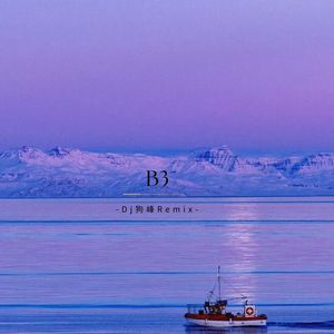 B3