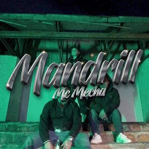 ManDrill