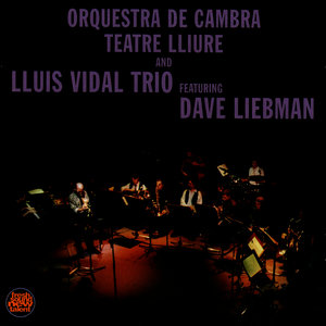 Lluis VidalTrio & Orquestra De Cambra Teatre Lliure