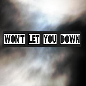 Wont Let You Down (Explicit)
