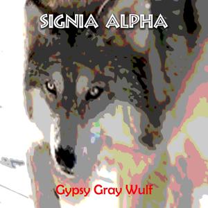 Gypsy Gray Wulf