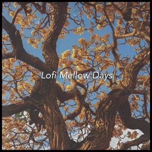 Lofi Mellow Days